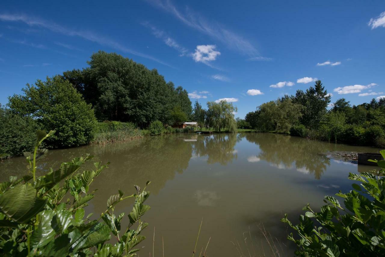 Gite Des Peupliers Girondelle Exteriér fotografie